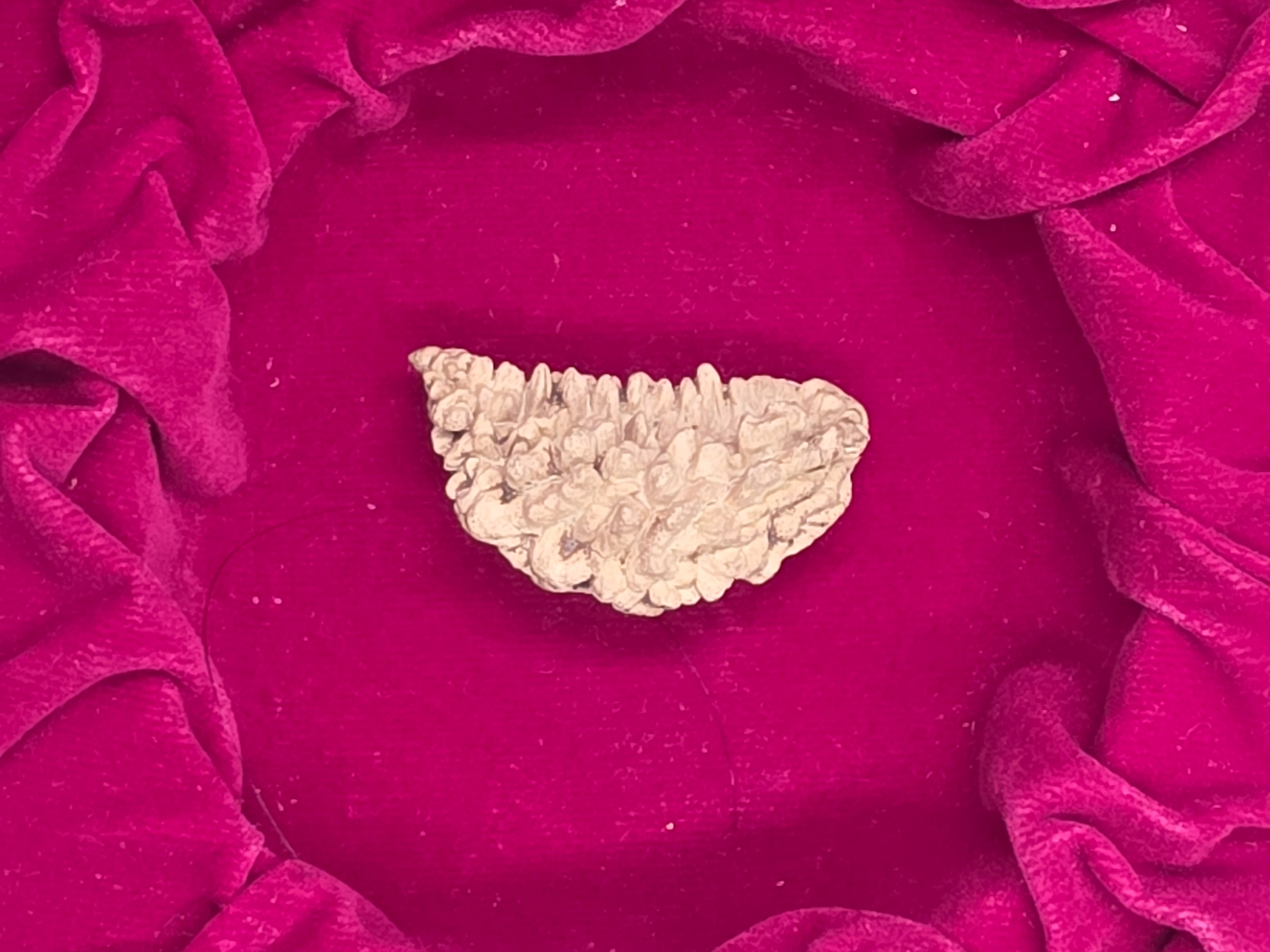 1 Mukhi Nepal Rudraksha