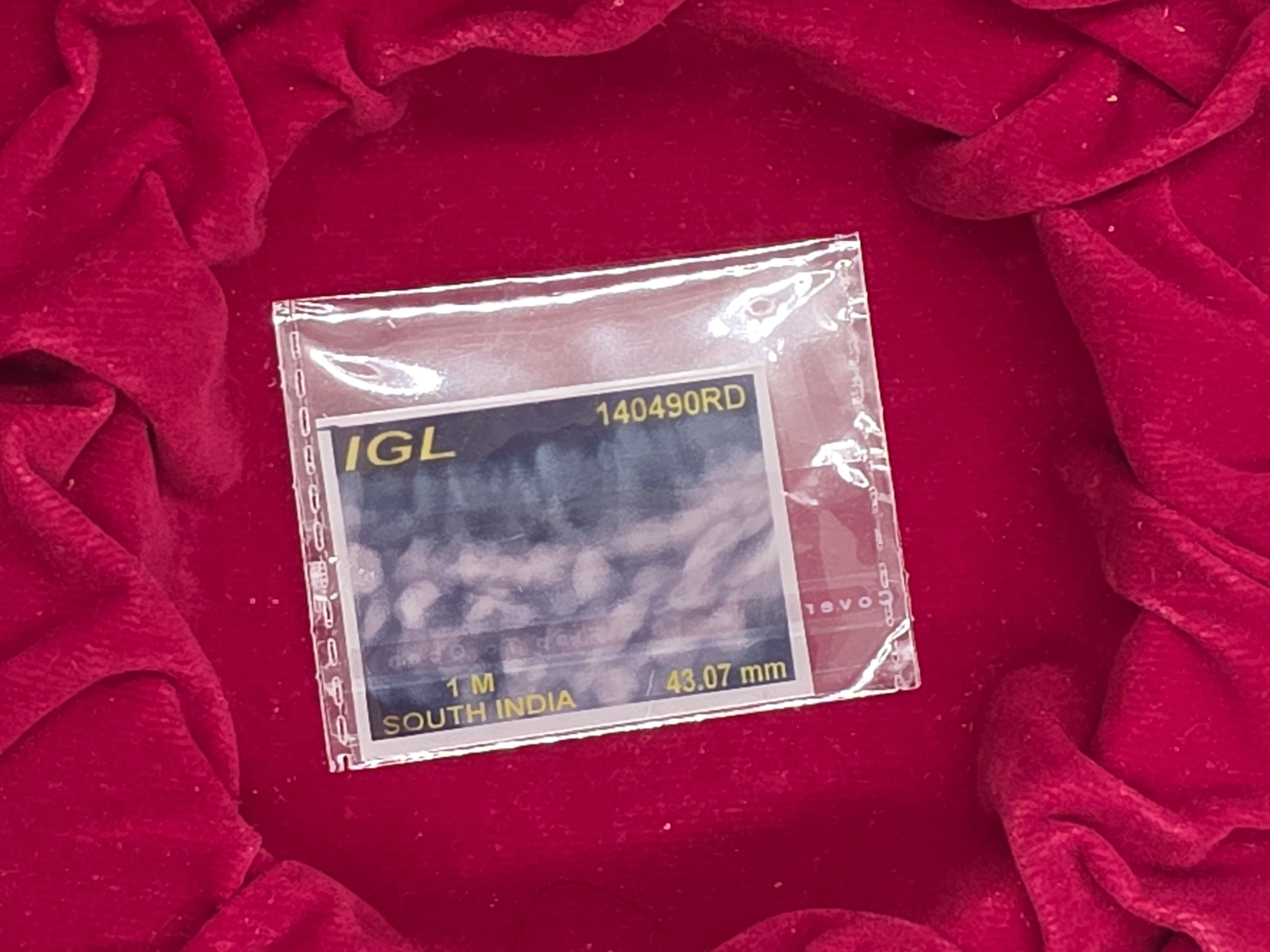 1 Mukhi Nepal Rudraksha 6