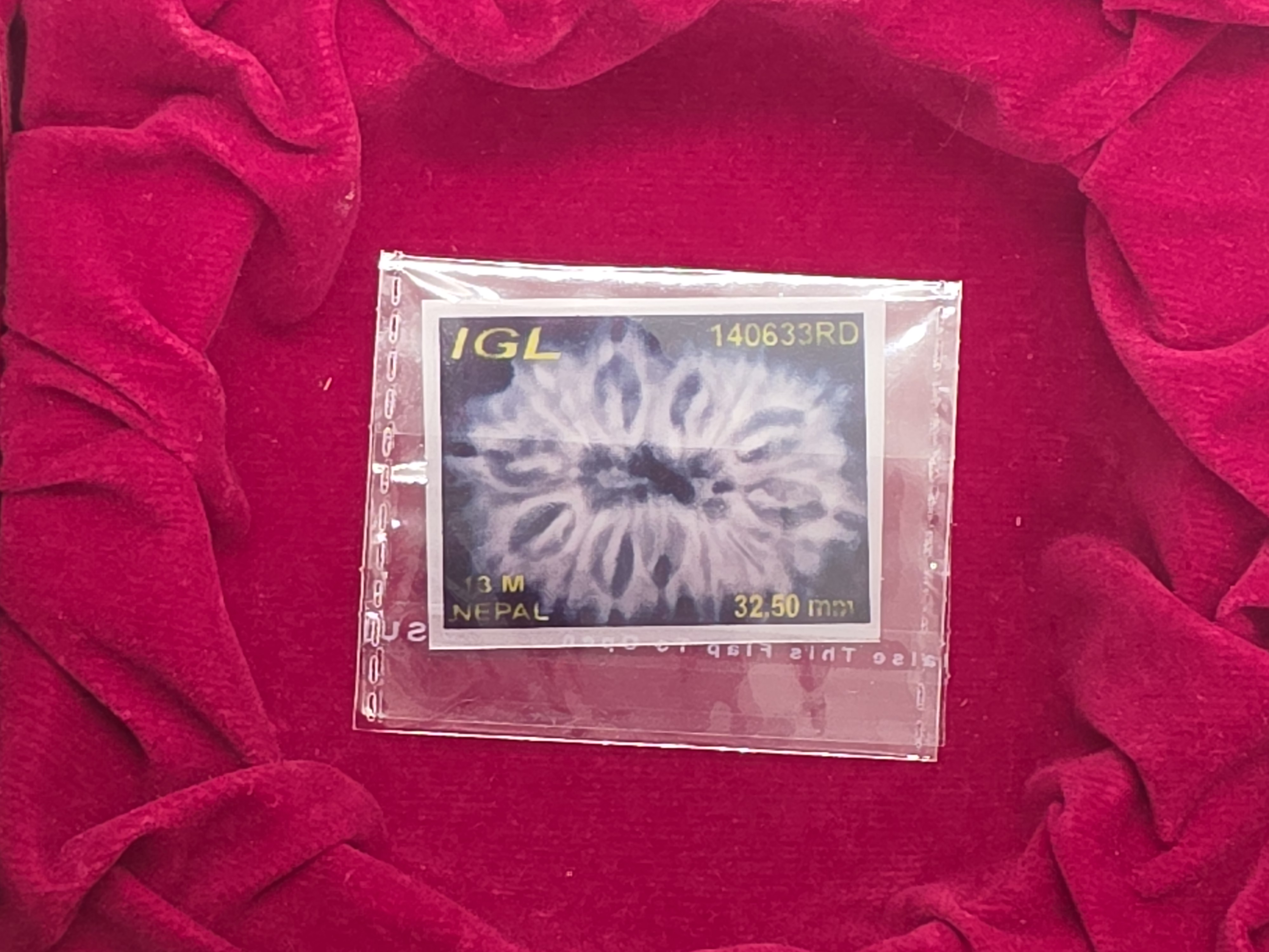 13 Mukhi Nepal Rudraksha 6
