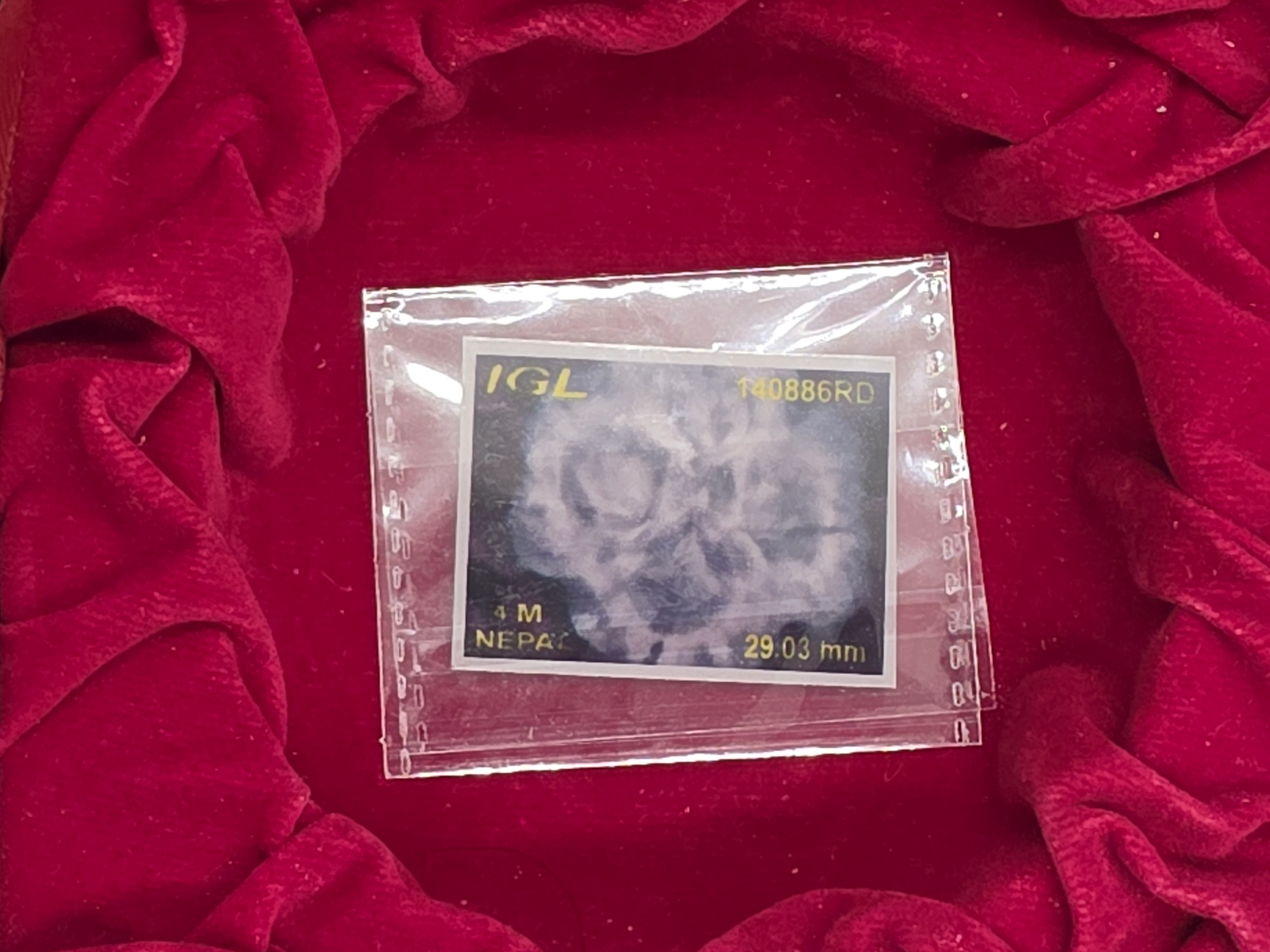 4 Mukhi Nepal Rudraksha 6