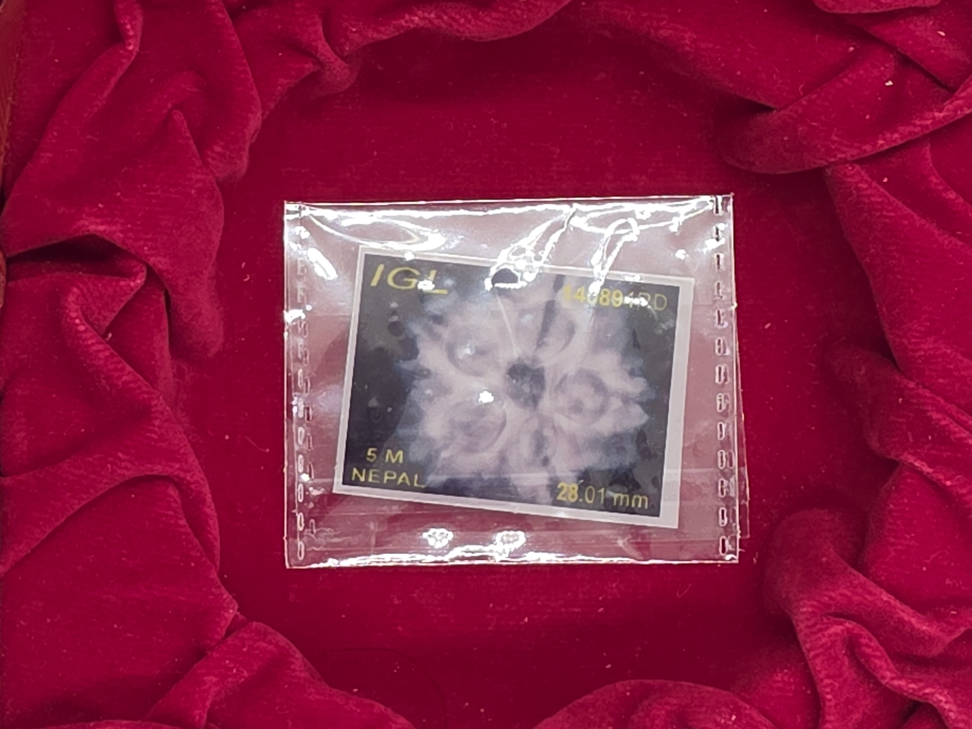 5 Mukhi Nepal Rudraksha 6