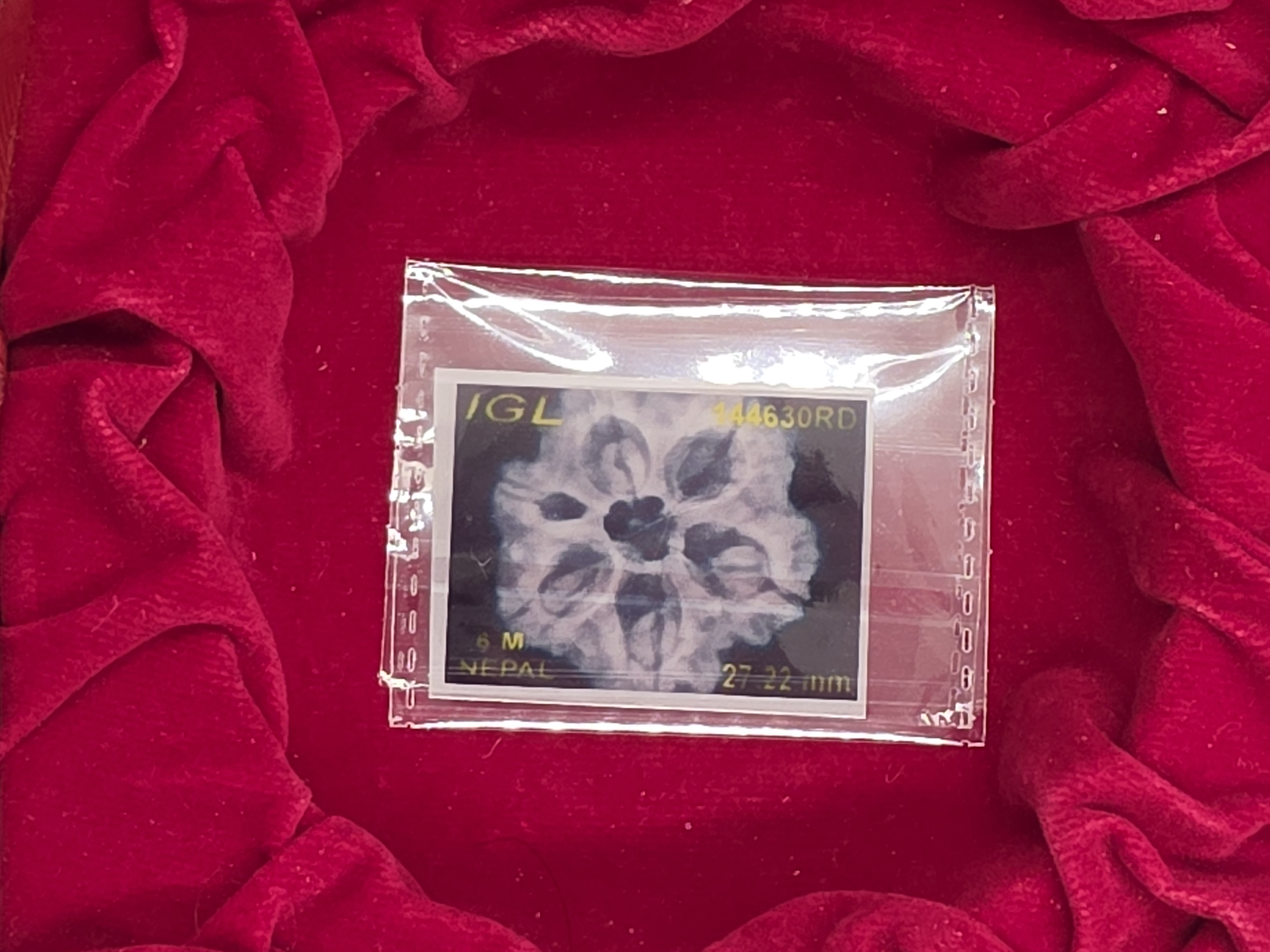 6 Mukhi Nepal Rudraksha 6