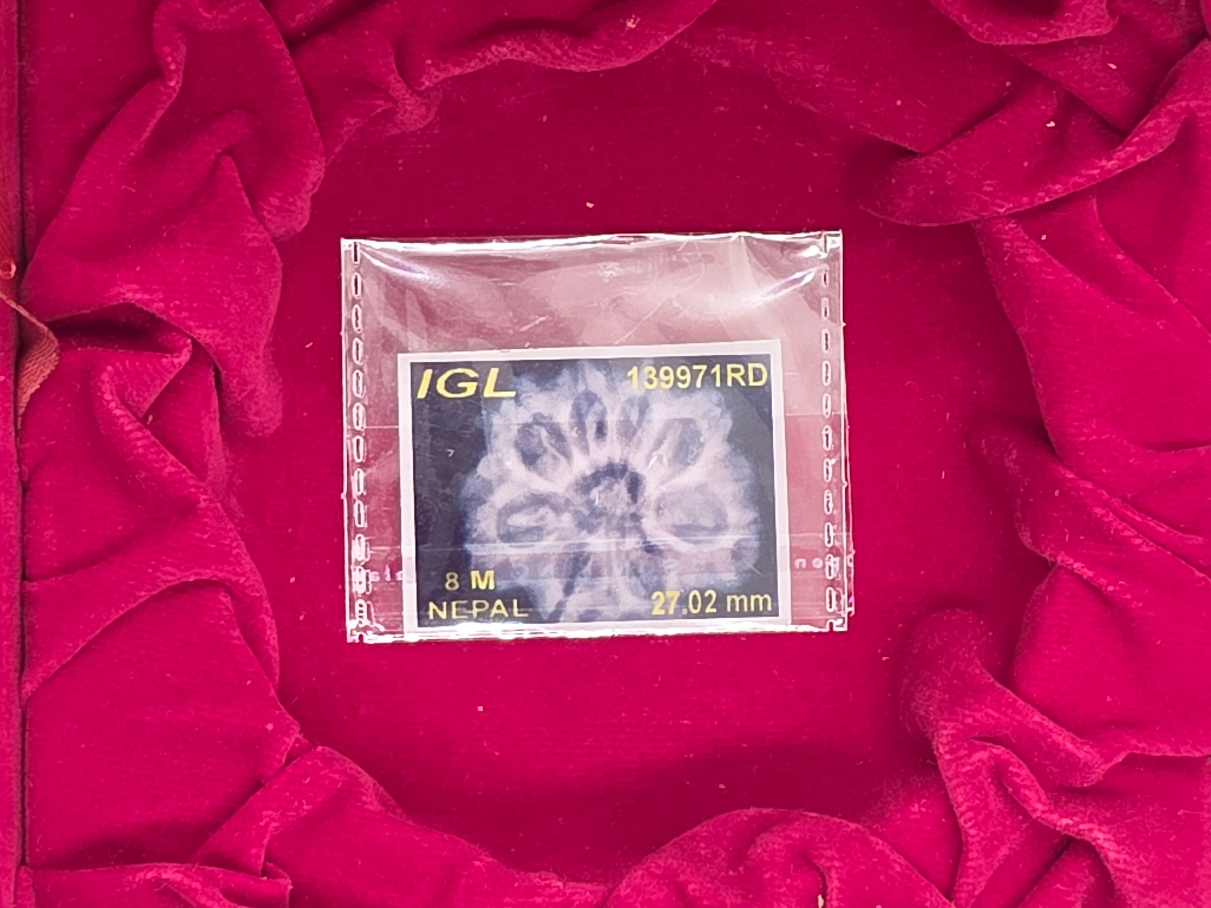8 Mukhi Nepal Rudraksha 6