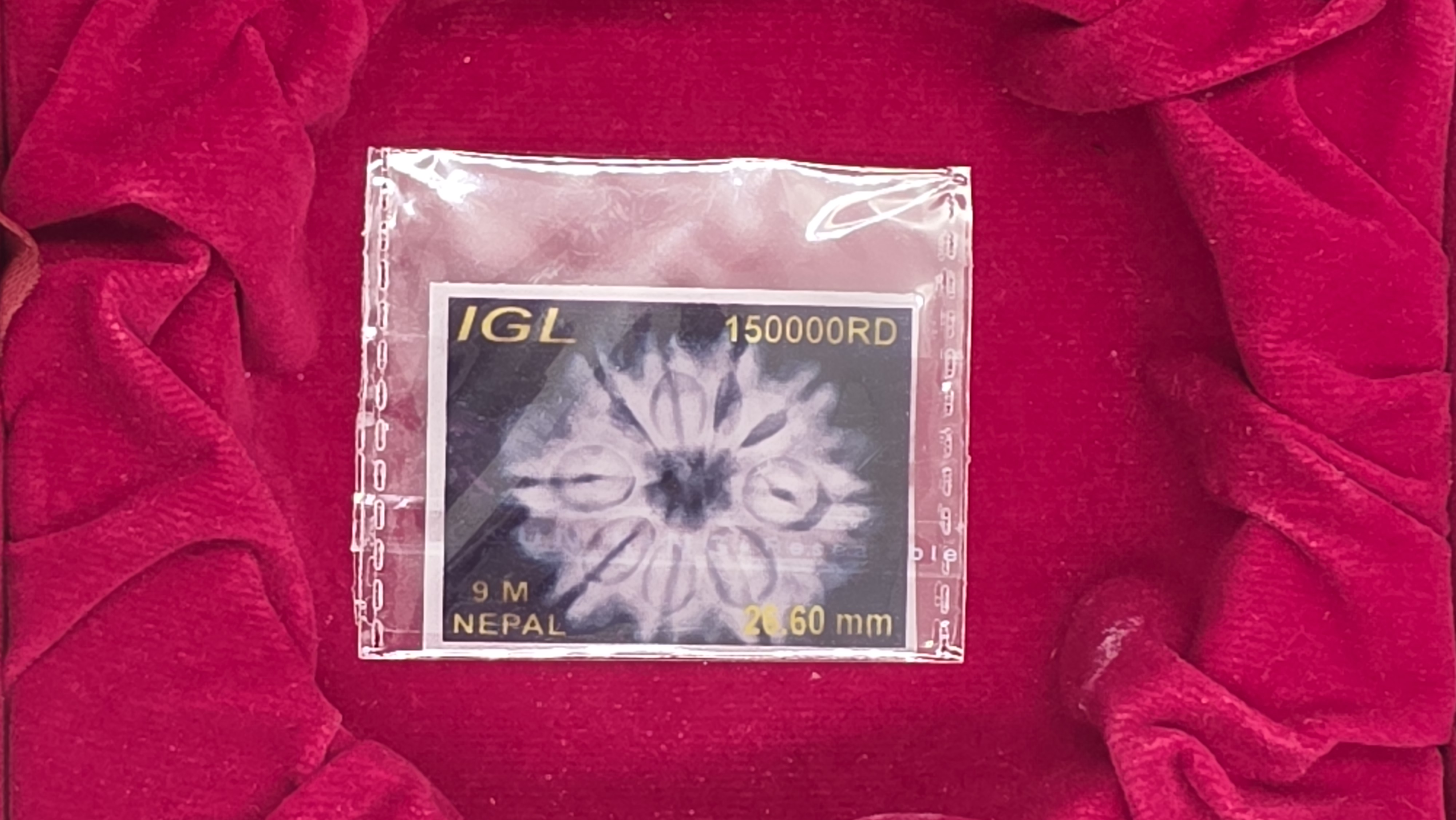 9 Mukhi Nepal Rudraksha 6