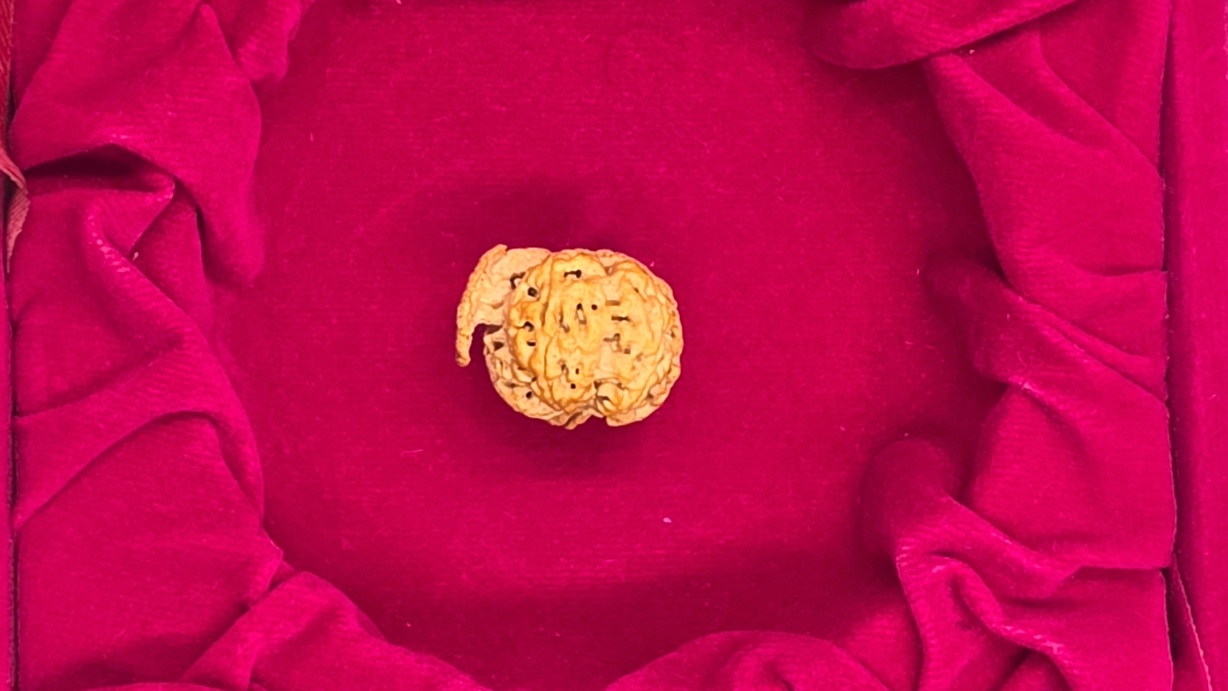 Ganesh Rudraksha 3