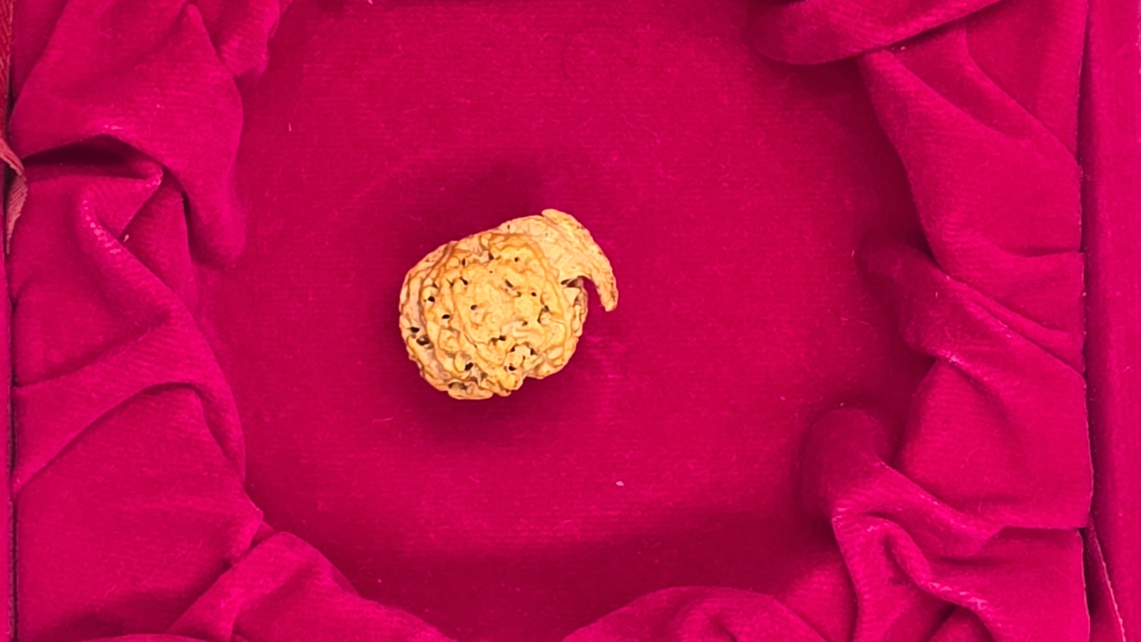 Ganesh Rudraksha 2