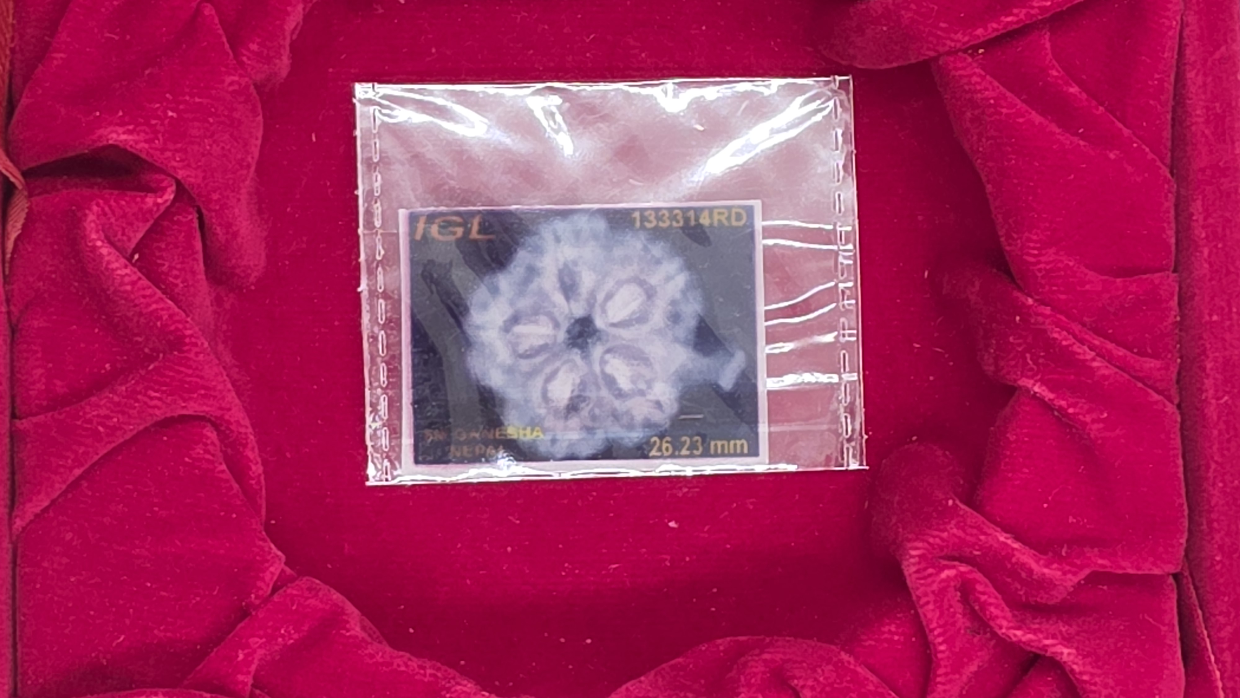 Ganesh Rudraksha 6