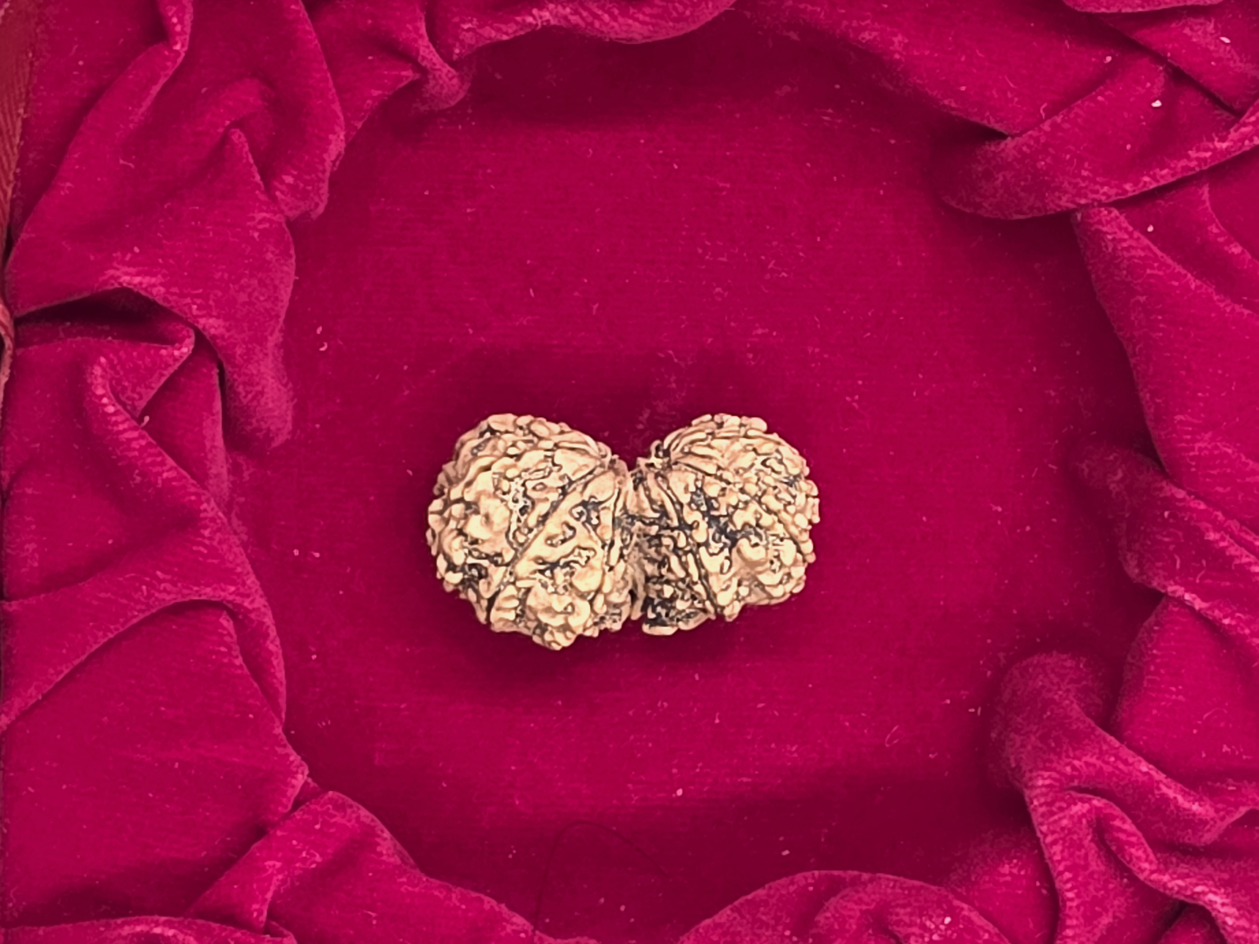 Gowri Shankar Nepal Rudraksha 2