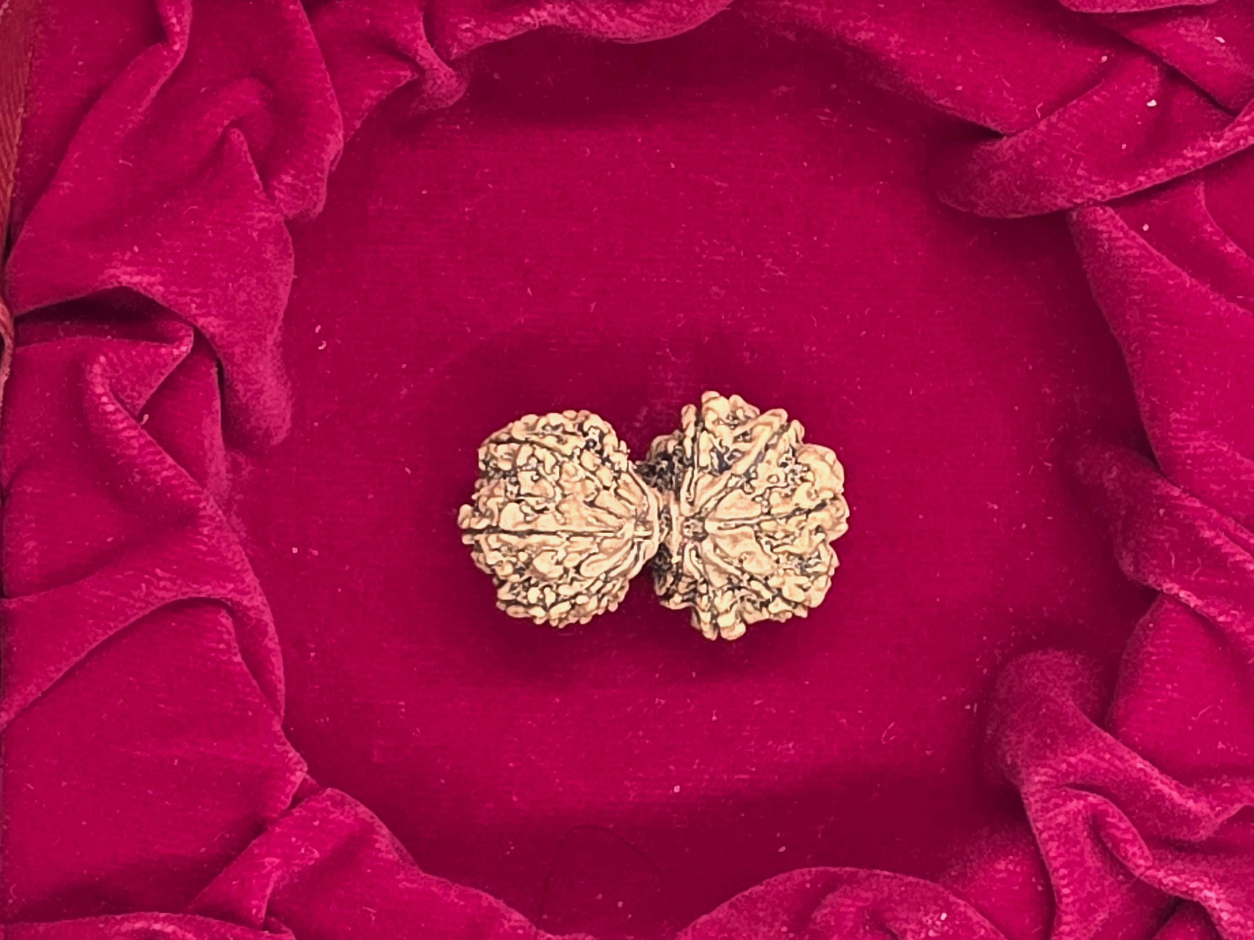 Gowri Shankar Nepal Rudraksha