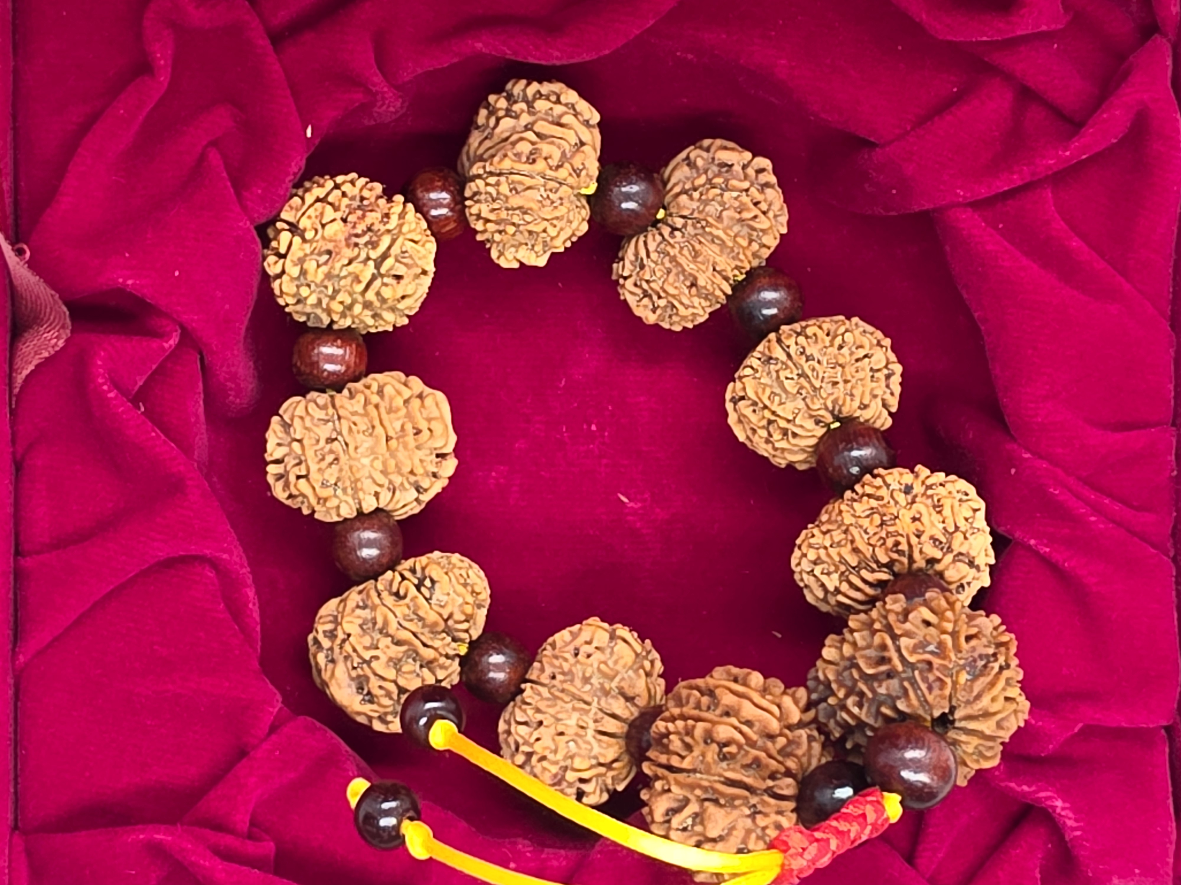 12 Mukhi Rudraksha Bracelet 3
