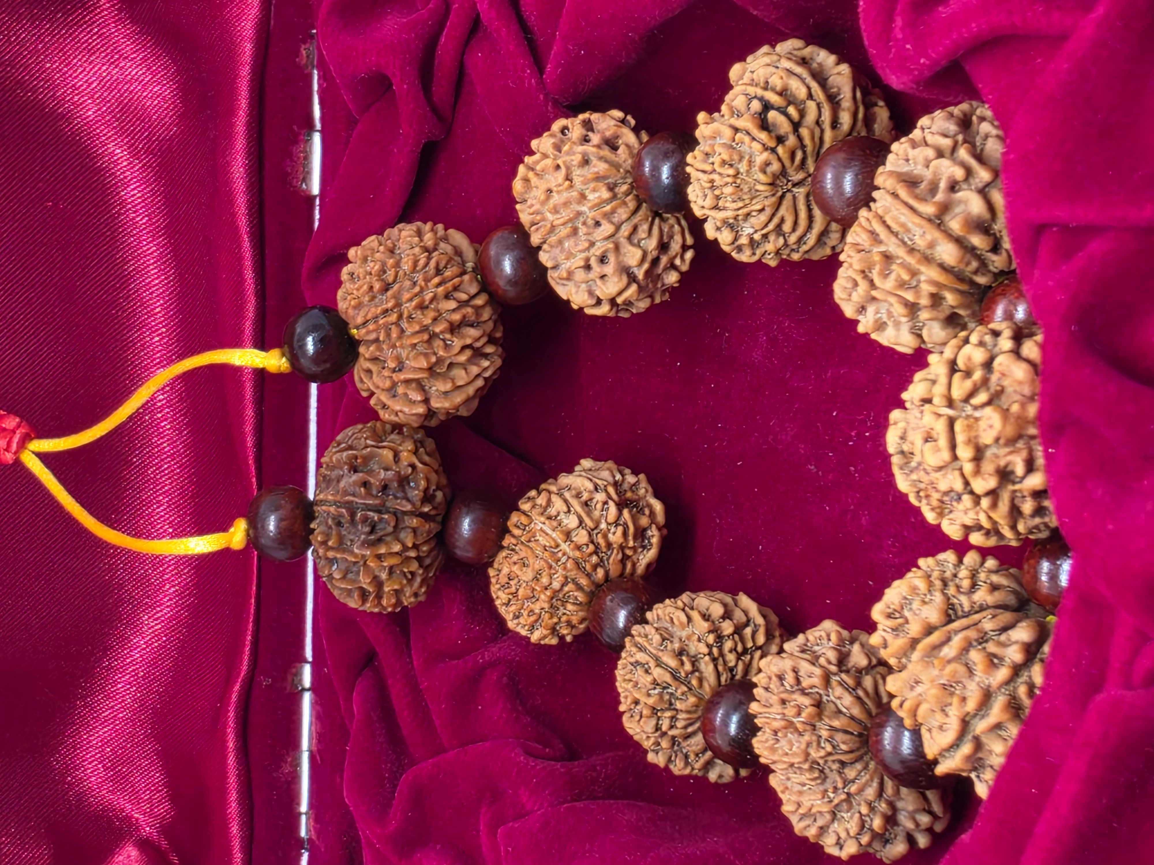12 Mukhi Rudraksha Bracelet 4