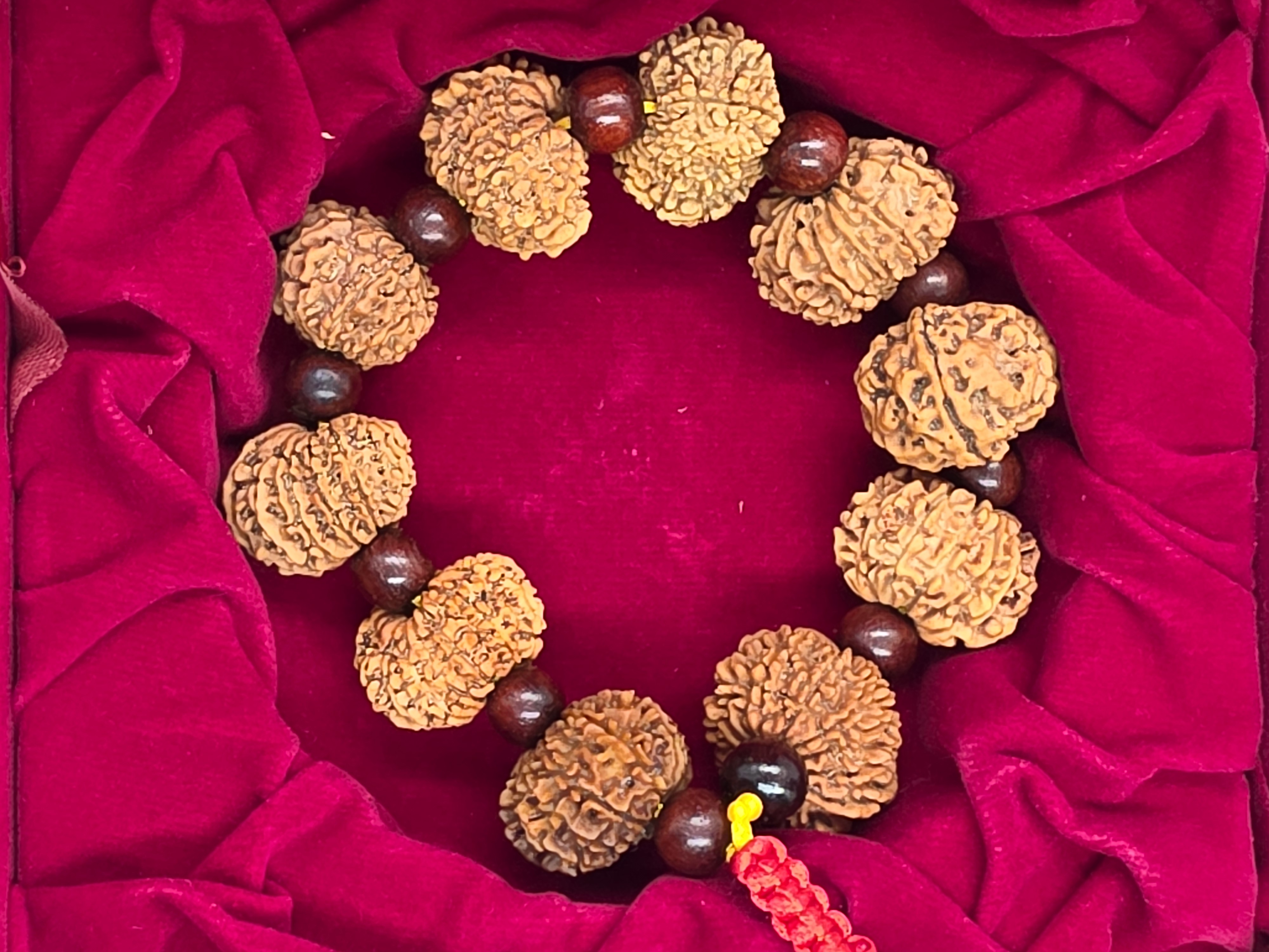12 Mukhi Rudraksha Bracelet 2