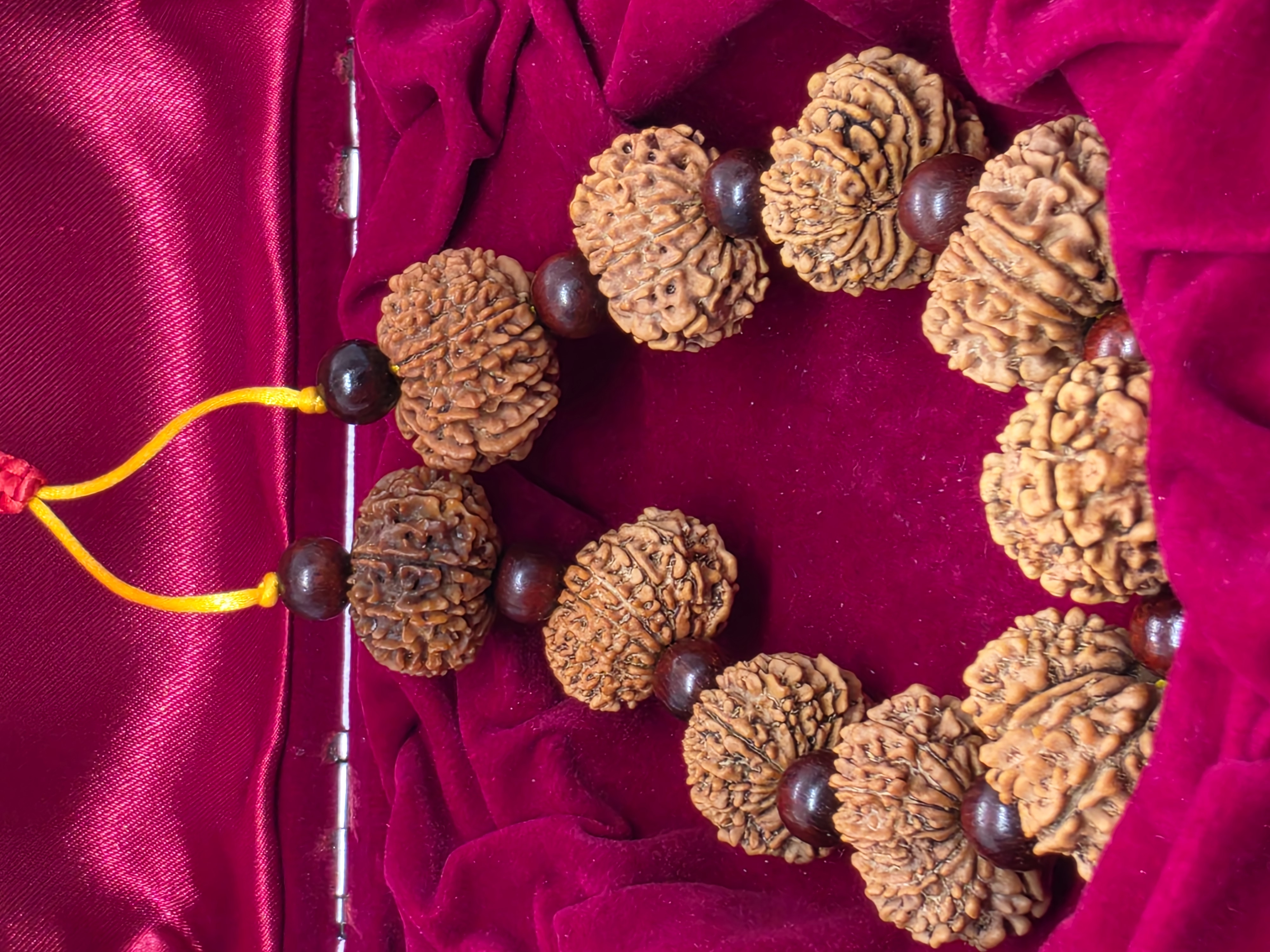 12 Mukhi Rudraksha Bracelet