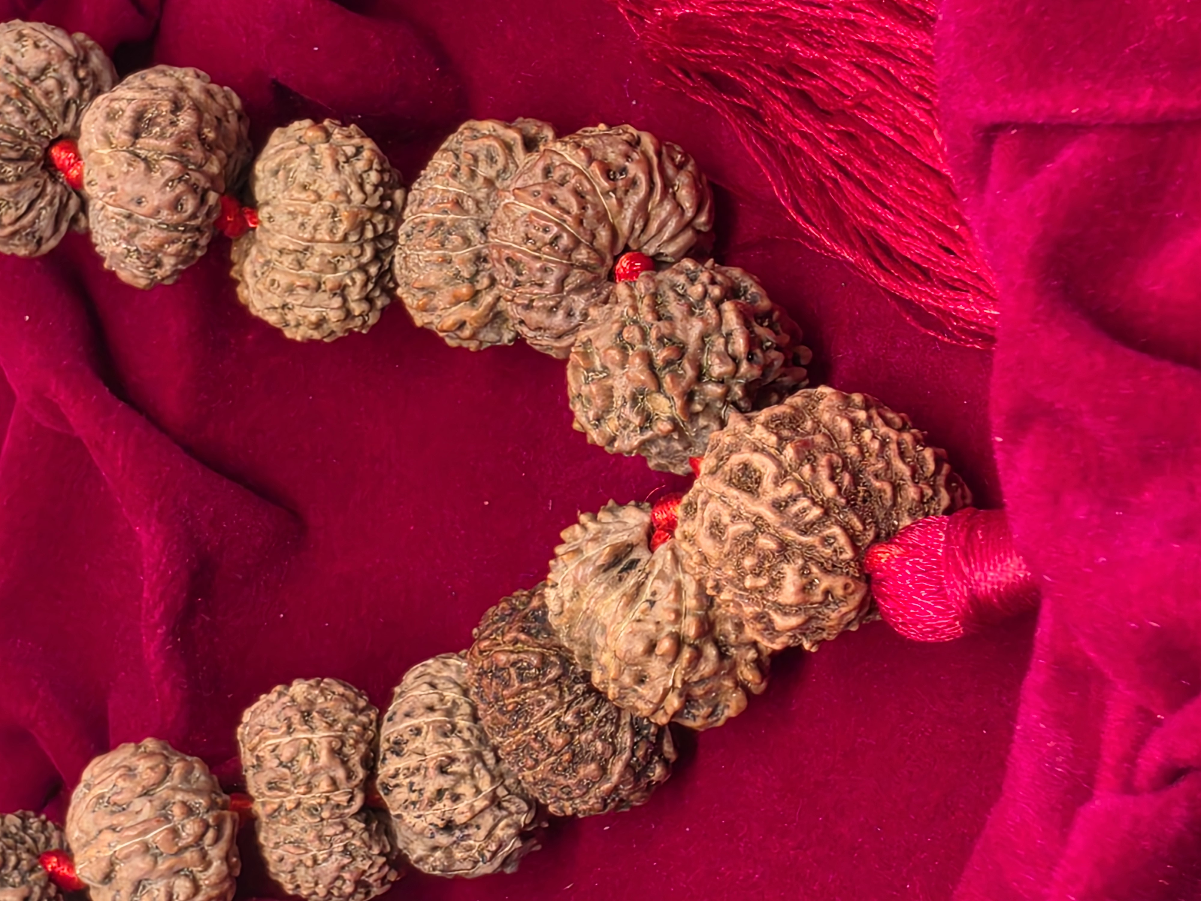 12 Mukhi Rudraksha Mala 3