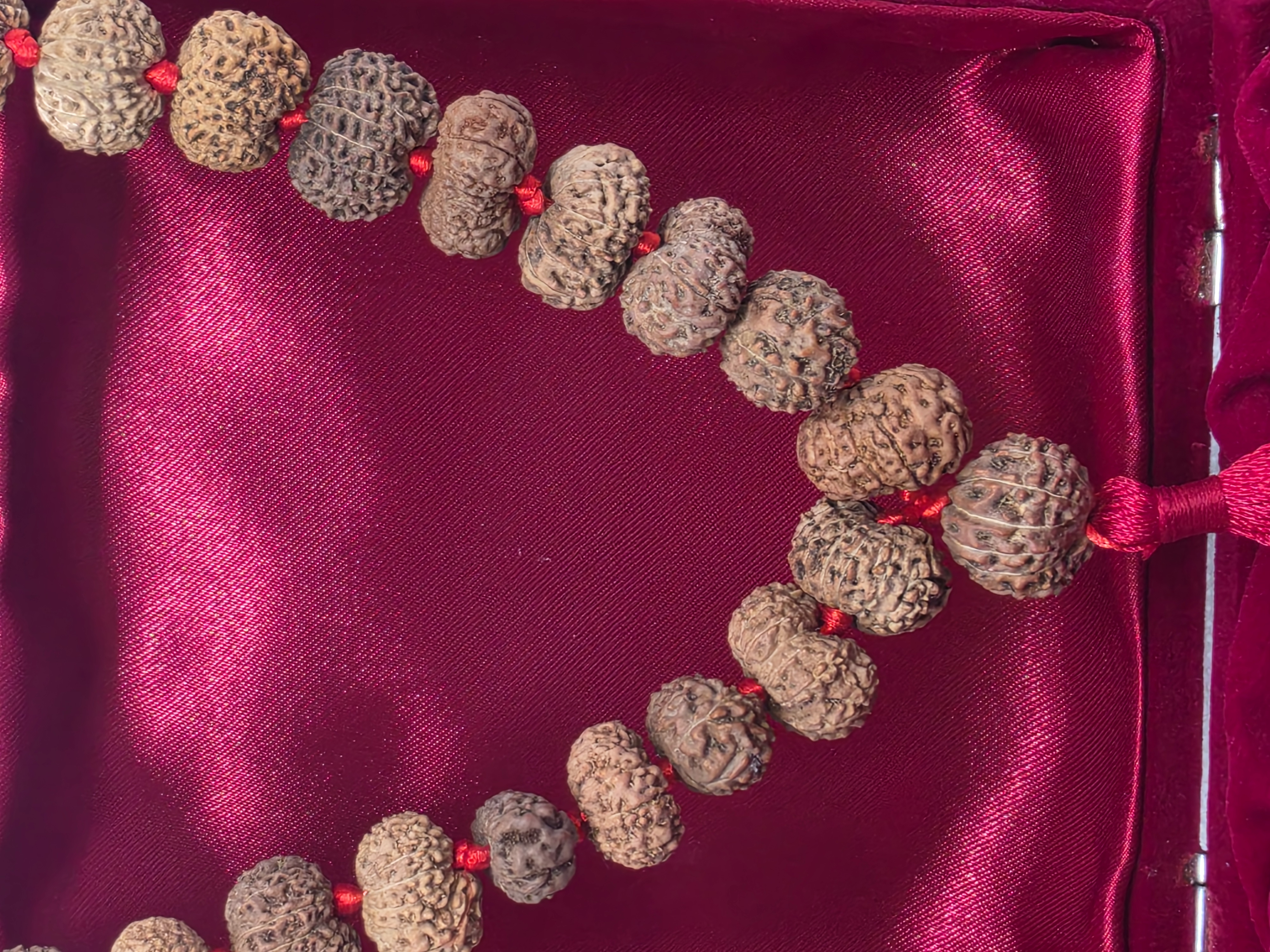 12 Mukhi Rudraksha Mala 5