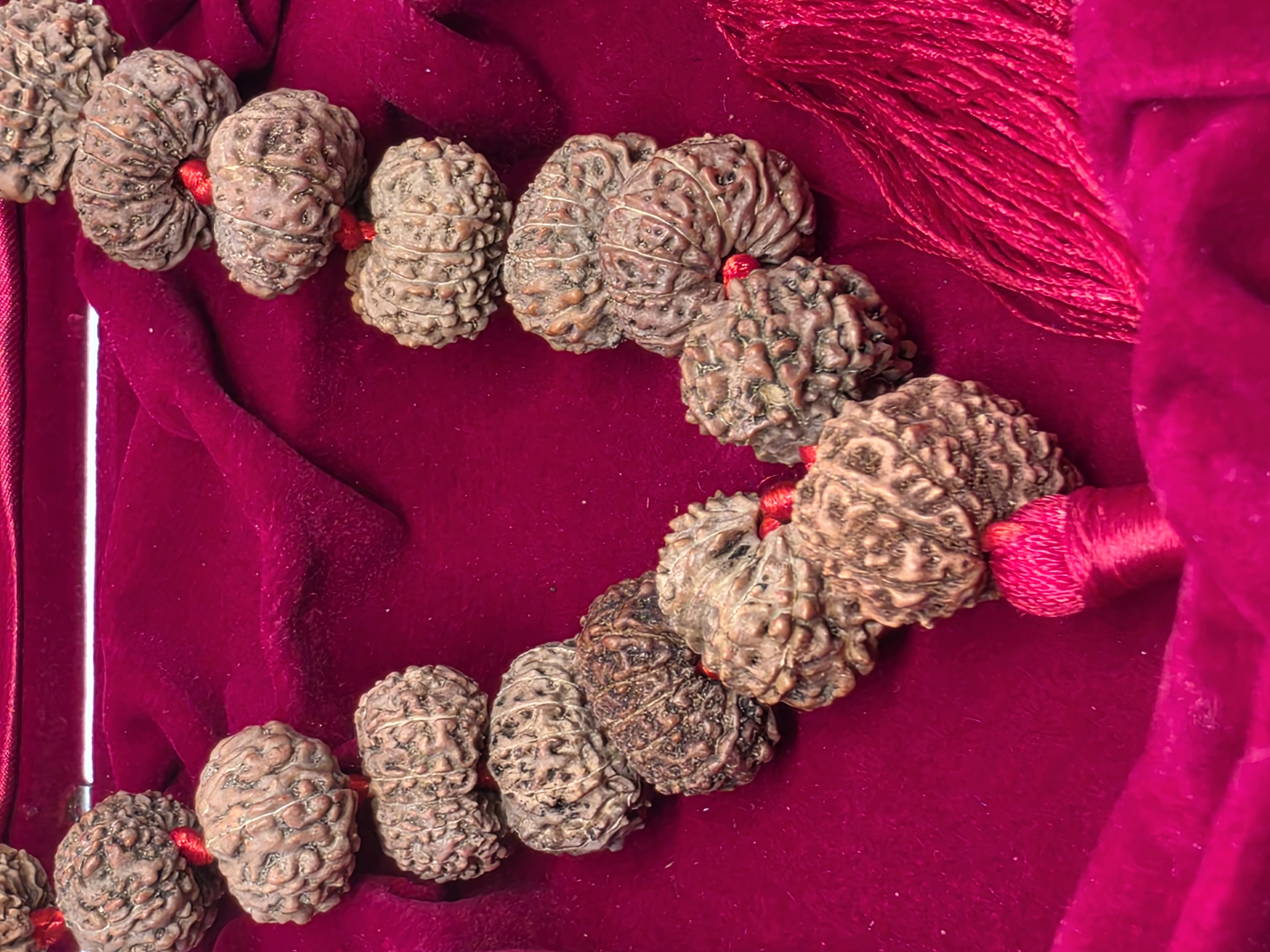 12 Mukhi Rudraksha Mala 2