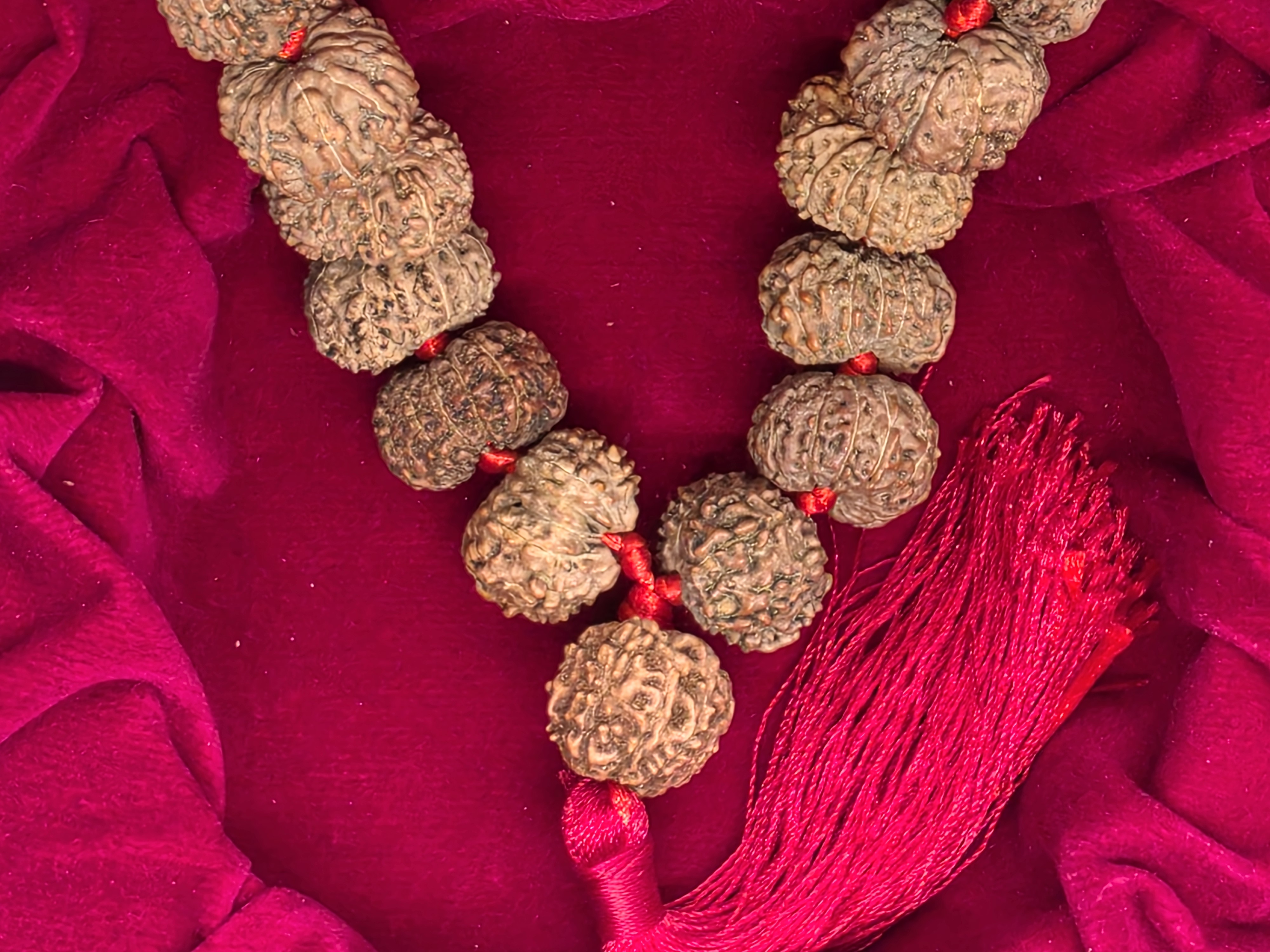 12 Mukhi Rudraksha Mala
