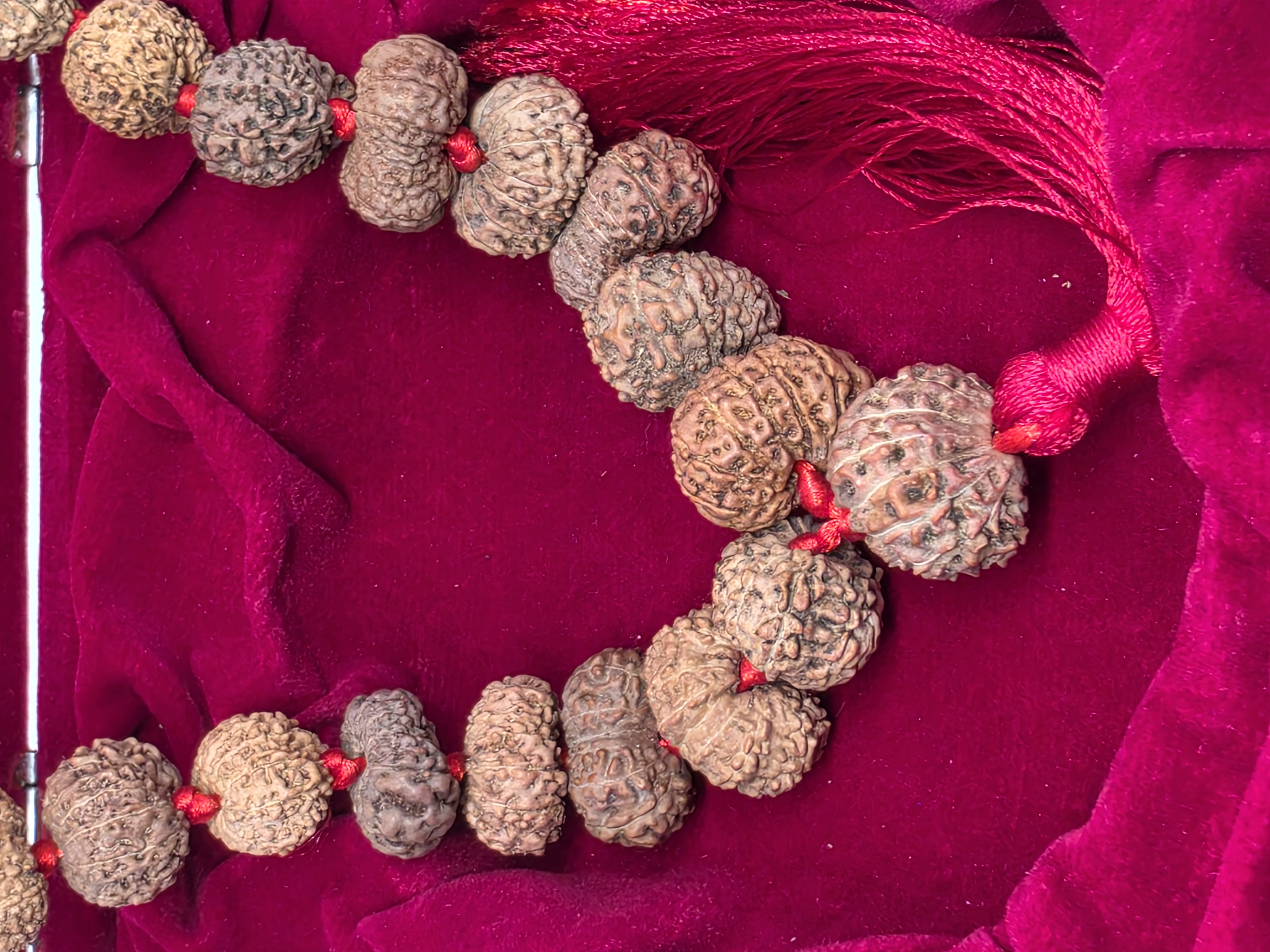 12 Mukhi Rudraksha Mala 6