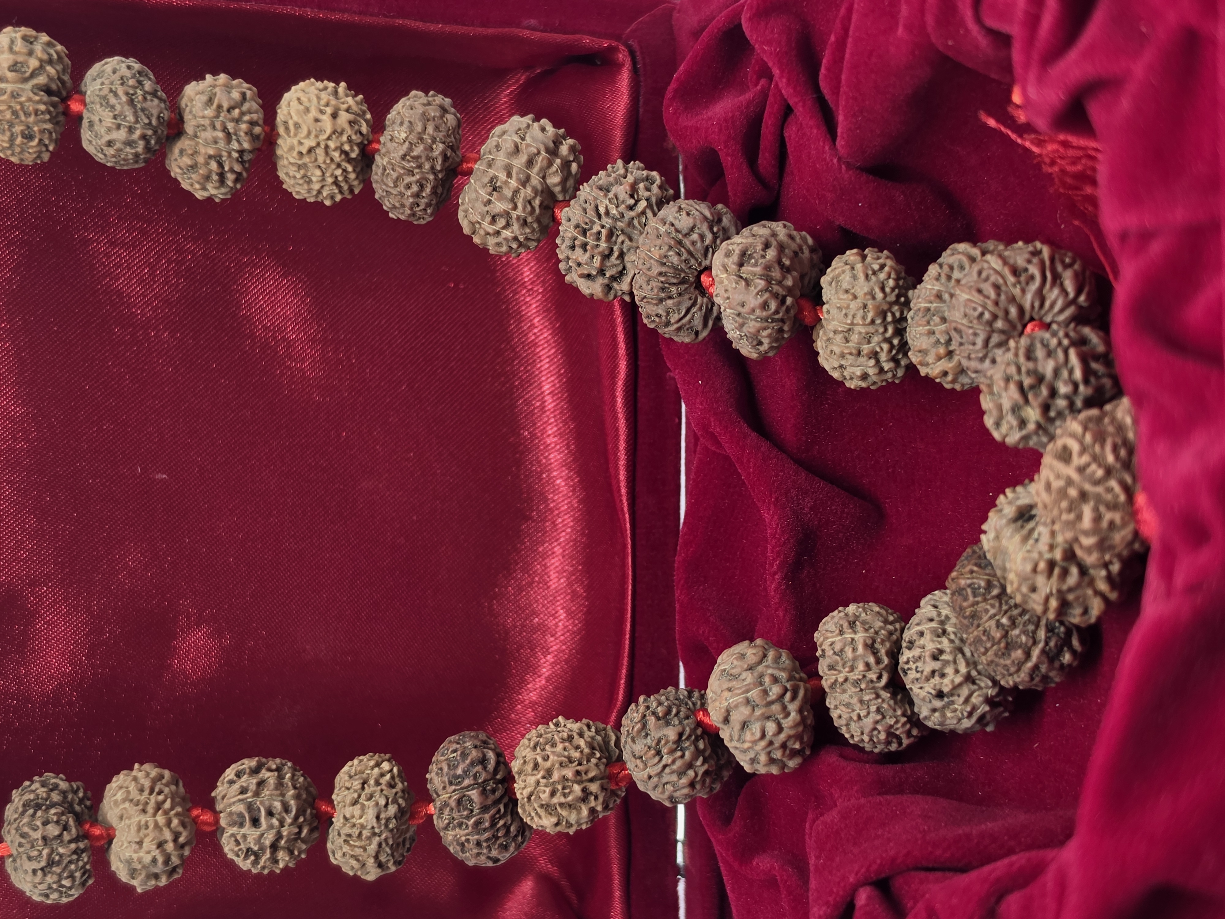 13 Mukhi Rudraksha Mala 3