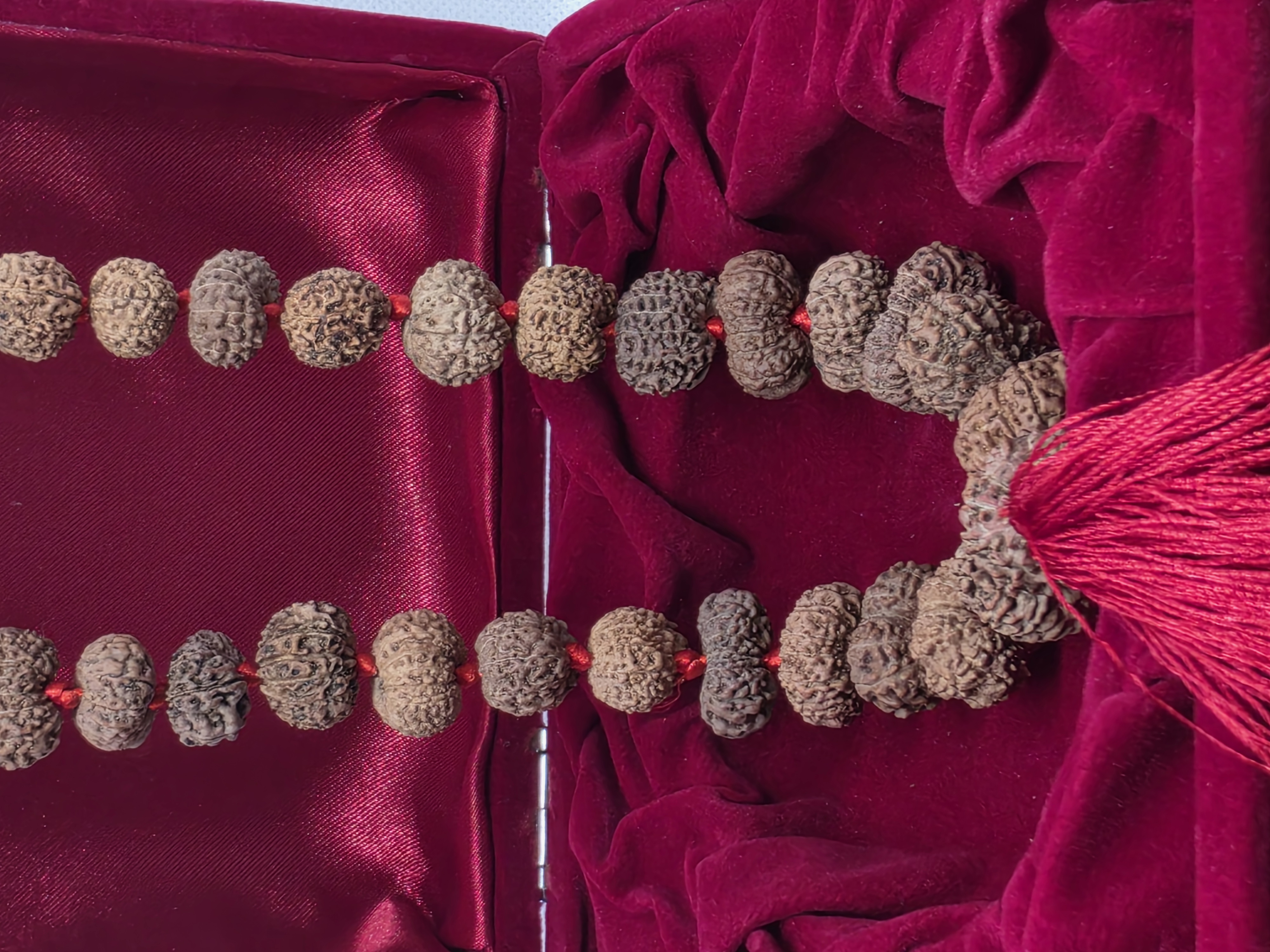 13 Mukhi Rudraksha Mala 4
