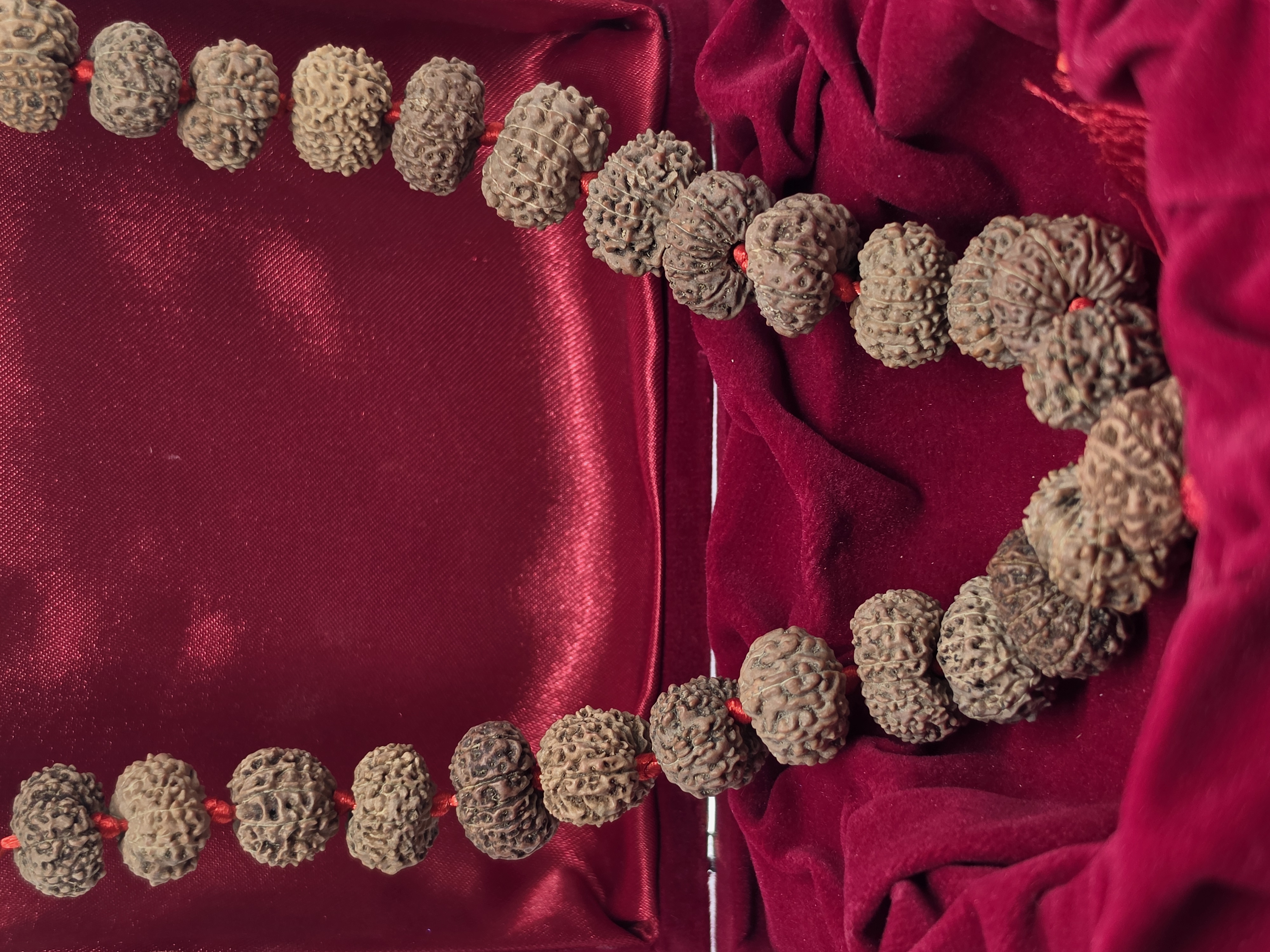 13 Mukhi Rudraksha Mala 5