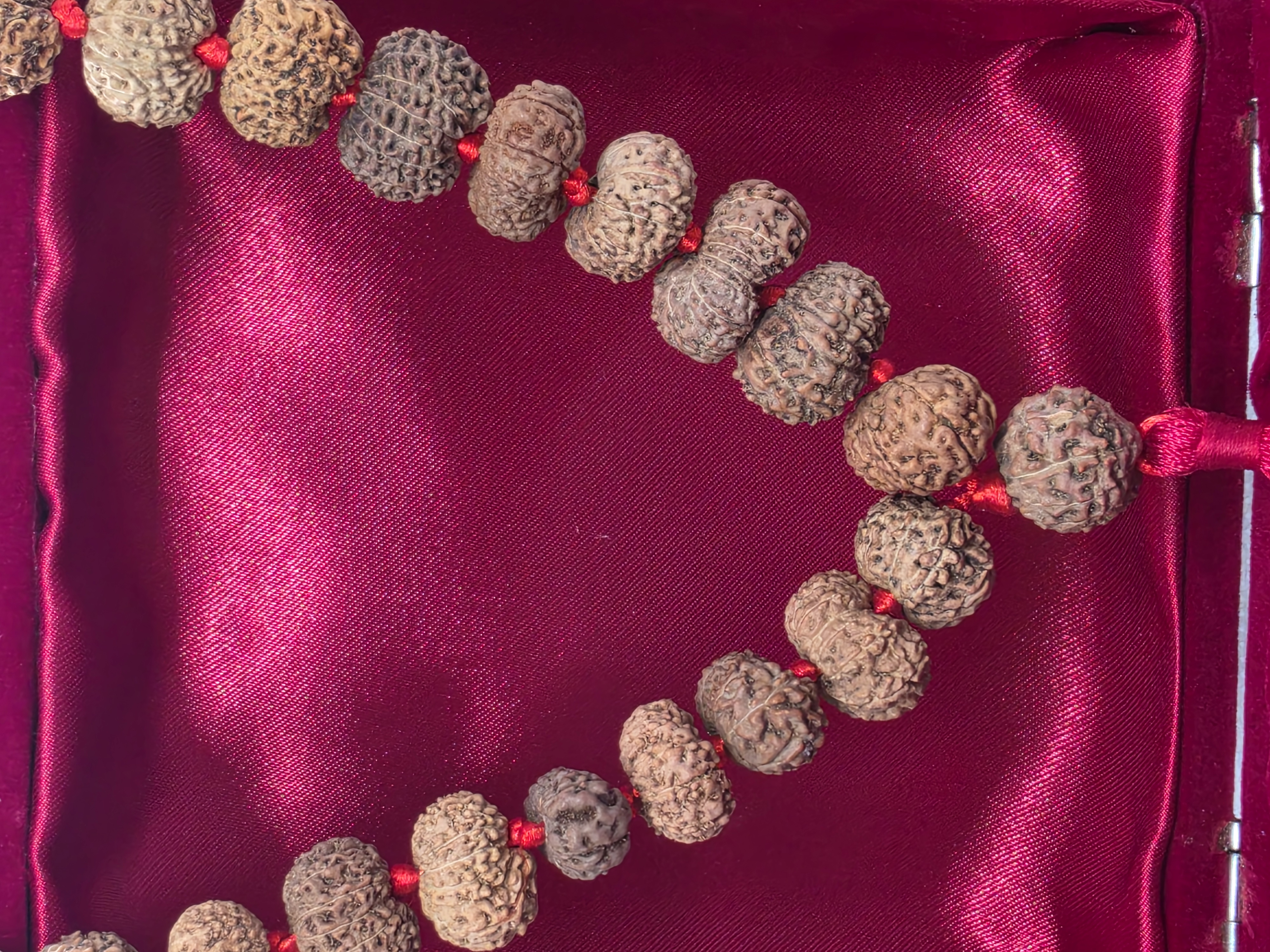 13 Mukhi Rudraksha Mala