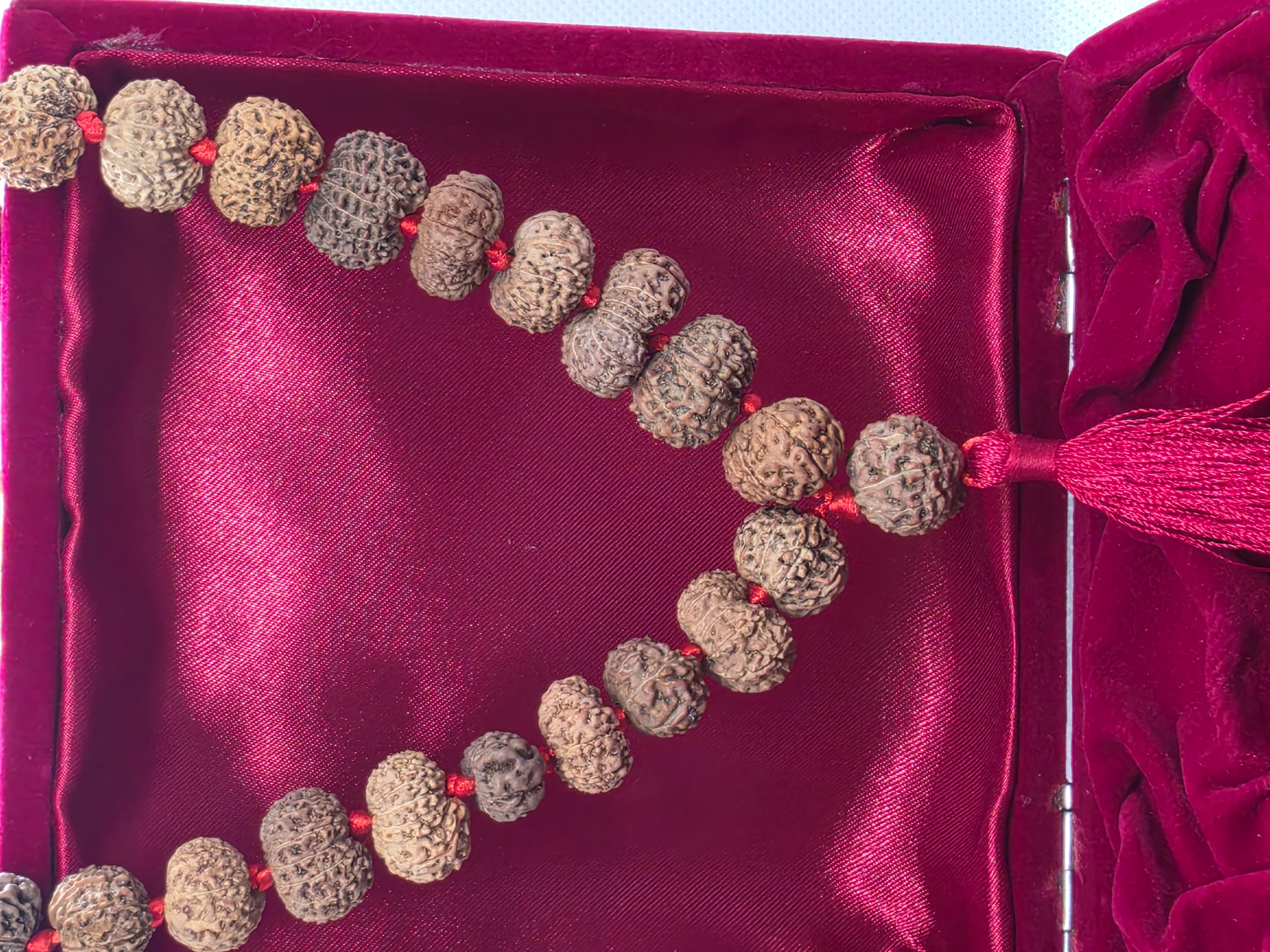 13 Mukhi Rudraksha Mala 6